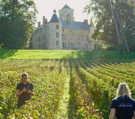 Chateau Le Gallais